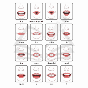 Articulation Cards - The Written Word