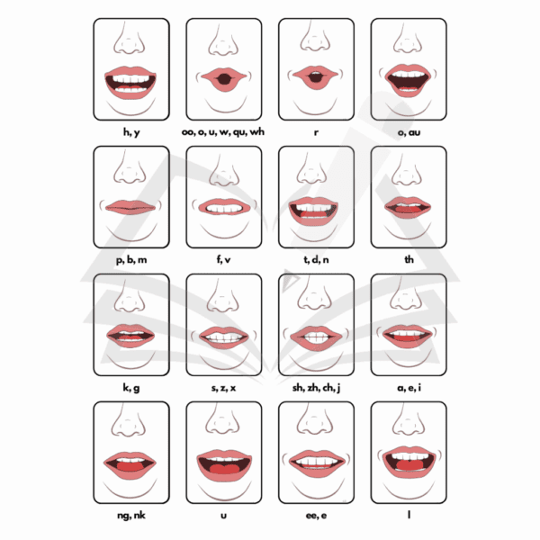 Articulation Cards - The Written Word
